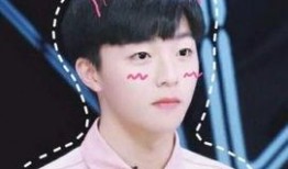 陈立农黑料娱乐圈爆料,真相与谣言的交织